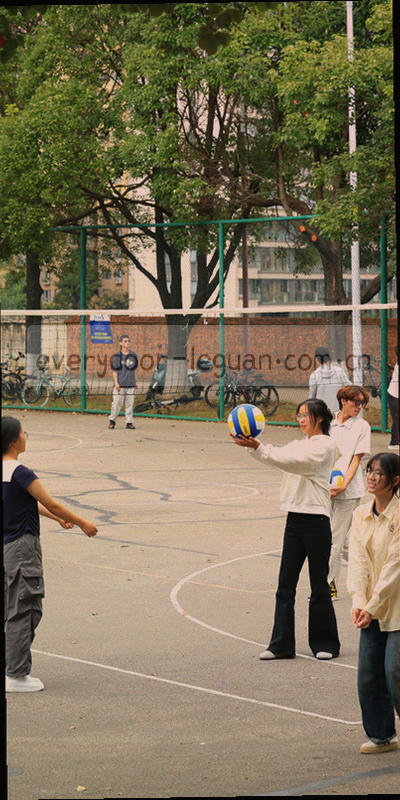 带有里程碑节点的竖向时间线示意图，金色竖线串联乐冠国际平台各发展阶段